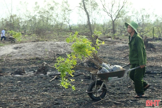 Khó khăn trong phục hồi "tuyến đê xanh" ở Hà Tĩnh sau thiên tai