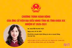 Chương trình hành động của ứng cử viên đại biểu HĐND tỉnh khóa XIX Nguyễn Thị Mai Thủy 