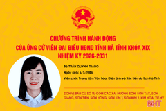 Chương trình hành động của ứng cử viên đại biểu HĐND tỉnh khóa XIX Trần Quỳnh Trang