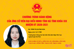 Chương trình hành động của ứng cử viên đại biểu HĐND tỉnh khóa XIX Trần Thị Quỳnh Nga