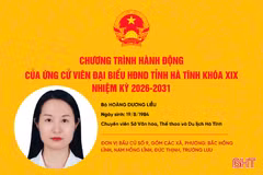Chương trình hành động của ứng cử viên đại biểu HĐND tỉnh khóa XIX Hoàng Dương Liễu
