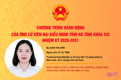 Chương trình hành động của ứng cử viên đại biểu HĐND tỉnh khóa XIX Đinh Thị Hiền