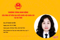 Chương trình hành động của ứng cử viên ĐBQH khóa XVI Lê Thanh Huyền