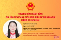 Chương trình hành động của ứng cử viên đại biểu HĐND tỉnh khóa XIX Phan Thị Thúy Hằng