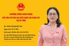 Tập trung giám sát việc thực hiện các chủ trương, chính sách lớn của Đảng và Nhà nước 