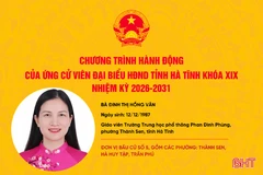 Chương trình hành động của ứng cử viên đại biểu HĐND tỉnh Đinh Thị Hồng Vân