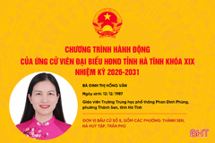 Chương trình hành động của ứng cử viên đại biểu HĐND tỉnh Đinh Thị Hồng Vân