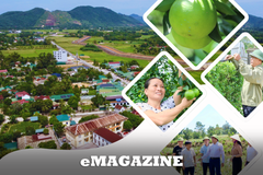 Thượng Đức vững bước vươn mình