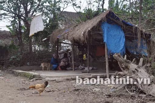 Đìu hiu một dải cù lao ảnh 2