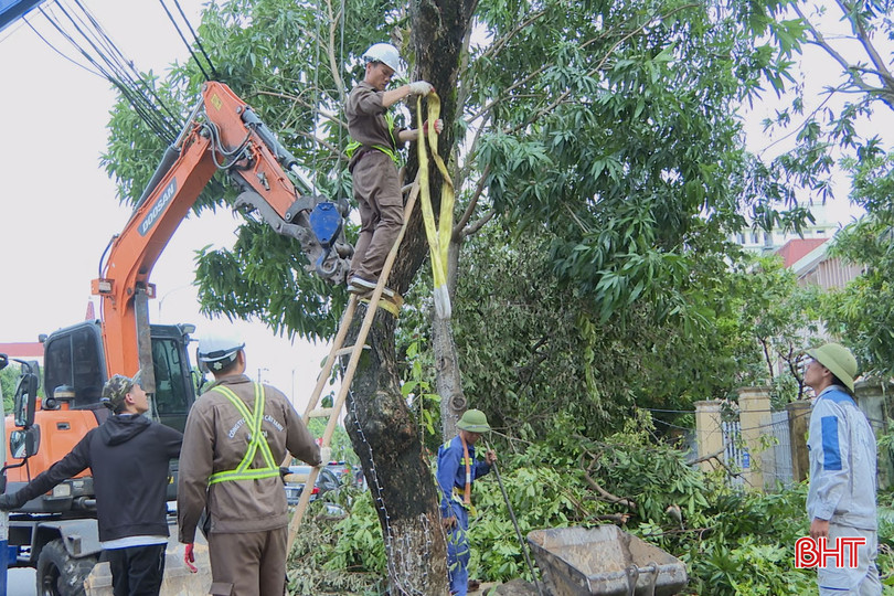 Công ty TNHH MTV Công viên cây xanh Hà Nội hỗ trợ Hà Tĩnh khắc phục hậu quả bão số 5. bqbht_br_2.jpg