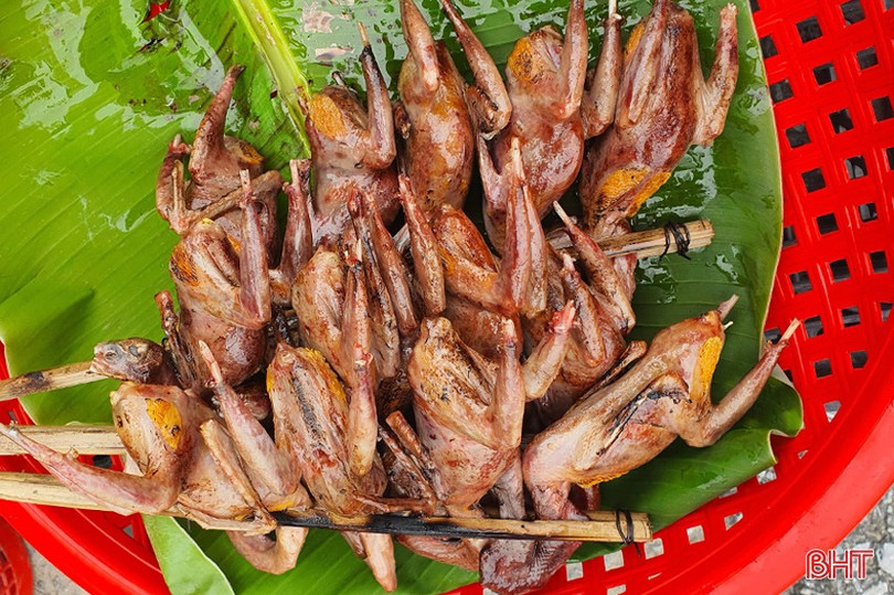 Sau gần 1 tiếng đồng hồ, hàng chục con chim trời (loại chim cà cà) đã được người dân bán gần hết.