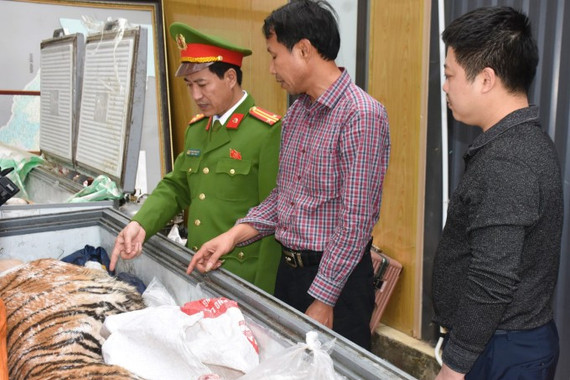 2 người bị bắt vì mua 2 con hổ 400kg nấu cao bán dịp Tết