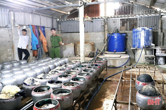 Thực phẩm bẩn – mối đe dọa trong từng bữa ăn