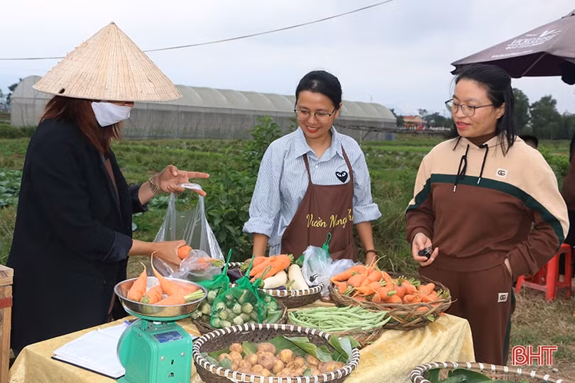 Sôi nổi Ngày hội “Tôi yêu Tổ quốc tôi” tại Thạch Hà