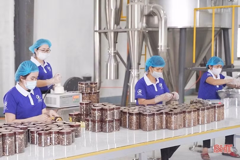 Cơ sở sản phẩm OCOP ở Hà Tĩnh nhộn nhịp vào vụ tết