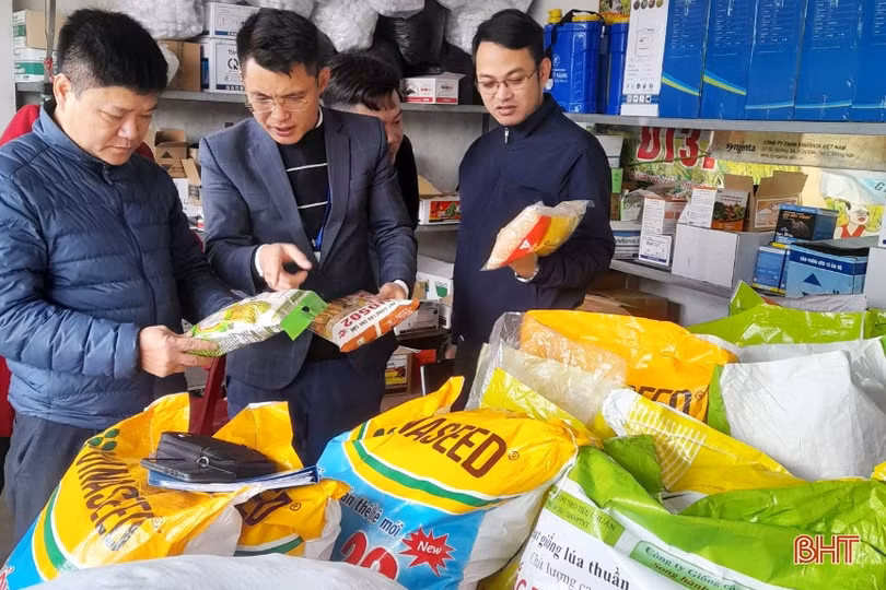 Cung ứng kịp thời giống lúa chất lượng sản xuất vụ xuân