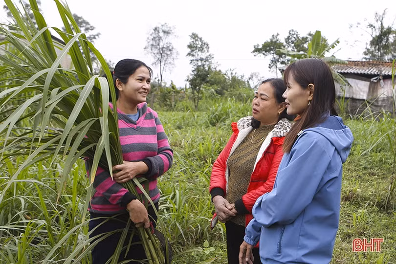 Phụ nữ Hà Tĩnh tự chủ hơn nhờ phát triển mô hình kinh tế