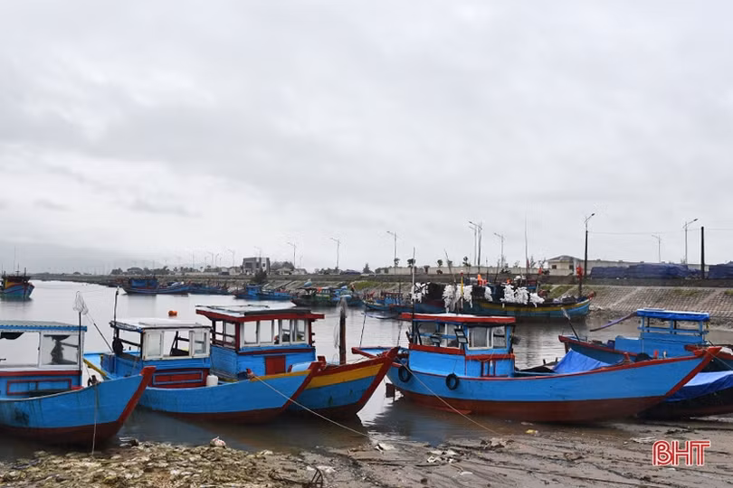 Tiếp sức cho ngư dân và các dịch vụ hậu cần nghề cá