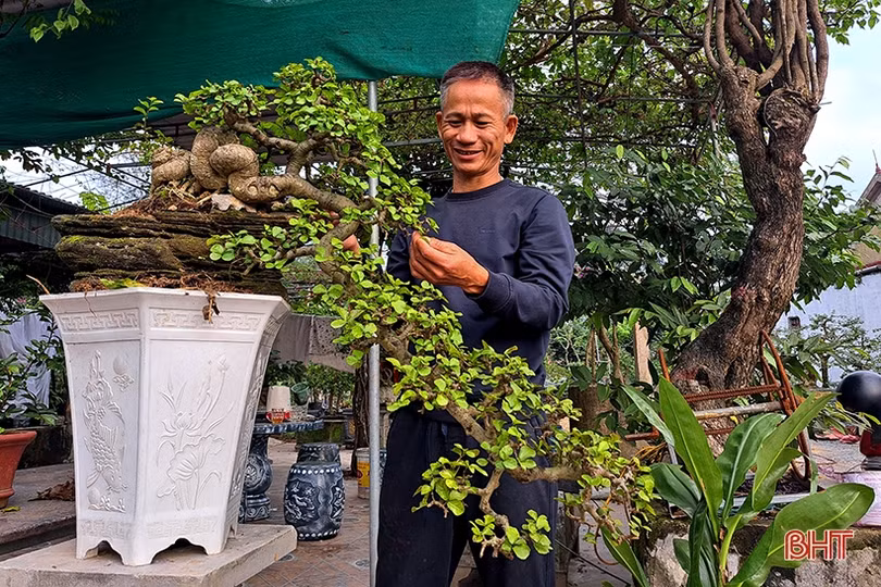 Khám phá vườn bonsai tiền tỷ ở Nghi Xuân