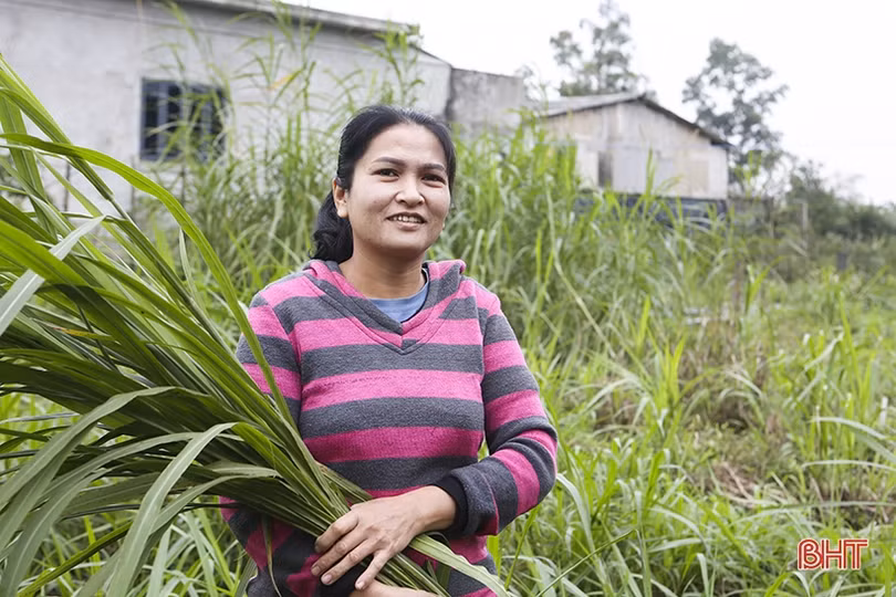 Phụ nữ Hà Tĩnh tự chủ hơn nhờ phát triển mô hình kinh tế