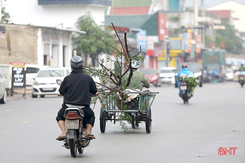 Đến hẹn... lại lo với xe chở hàng cồng kềnh!