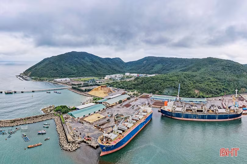 Hà Tĩnh tập trung phát triển và nâng cao hiệu quả sử dụng rừng trồng