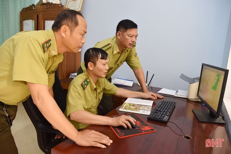 Hà Tĩnh tập trung phát triển và nâng cao hiệu quả sử dụng rừng trồng