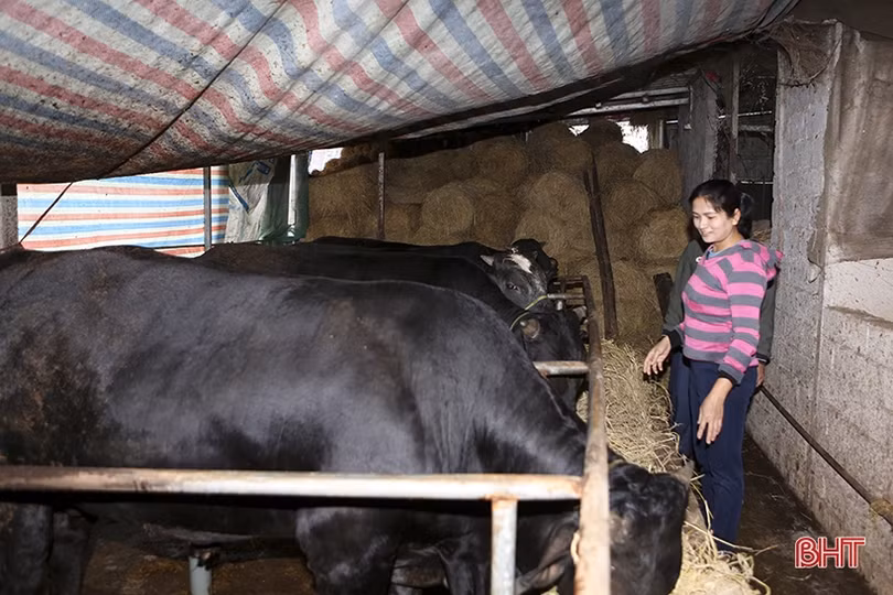 Phụ nữ Hà Tĩnh tự chủ hơn nhờ phát triển mô hình kinh tế