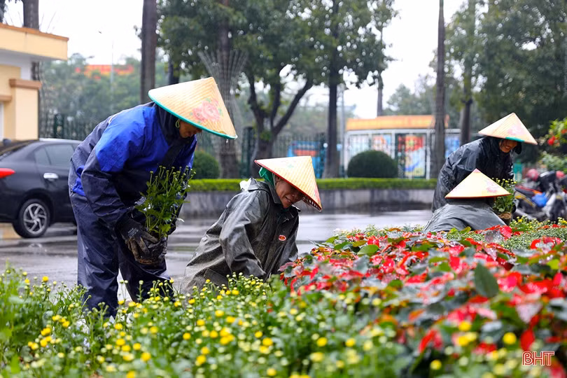 Dự báo thời tiết Hà Tĩnh tuần đầu năm mới