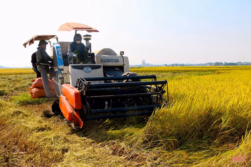 Triển khai sản xuất hè thu ứng phó an toàn với thời tiết và dịch bệnh Covid-19