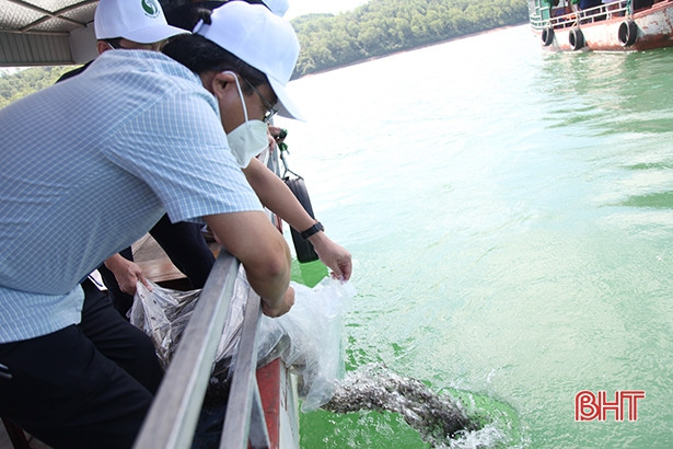 Thả 2 vạn con cá giống tái tạo nguồn lợi thủy sản ở hồ Kẻ Gỗ