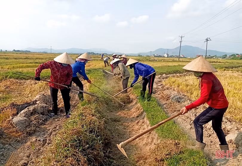 Nông dân Kỳ Anh khẩn trương làm đất, phấn đấu hoàn thành xuống giống hè thu trước ngày 10/6