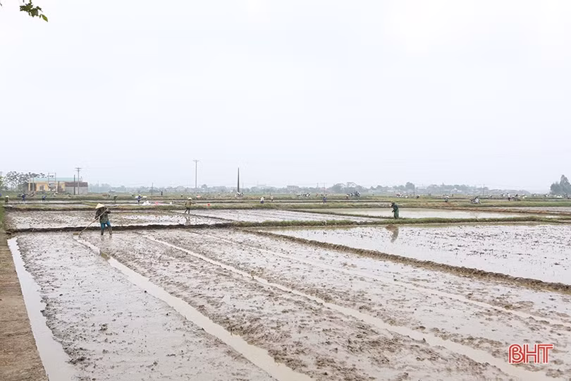Nông dân Hà Tĩnh phấn khởi xuống giống vụ hè thu