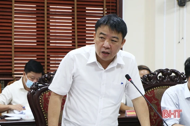 Thành phố Hà Tĩnh bàn phương án xây dựng hệ thống cây xanh đô thị