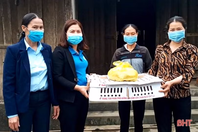 Học tập và làm theo Bác, các cấp hội phụ nữ Hà Tĩnh sát cánh hỗ trợ người nghèo