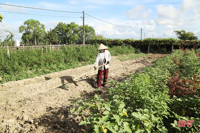 Thạch Hà vượt lên dịch bệnh, linh hoạt triển khai xây dựng nông thôn mới