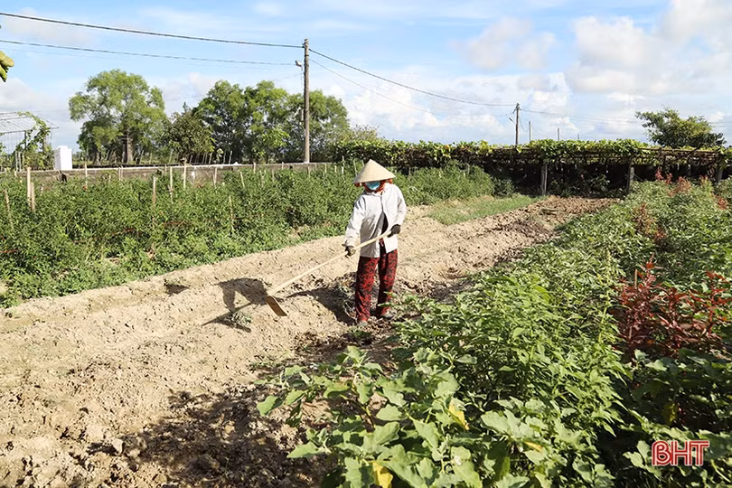 Nâng cao chất lượng tiêu chí, đưa Hà Tĩnh về đích nông thôn mới