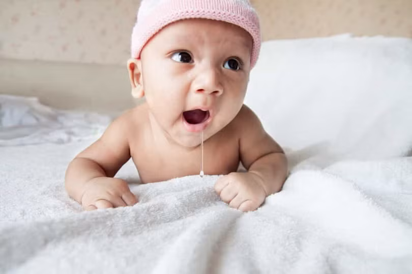 Những sự thật thú vị về cơ thể người