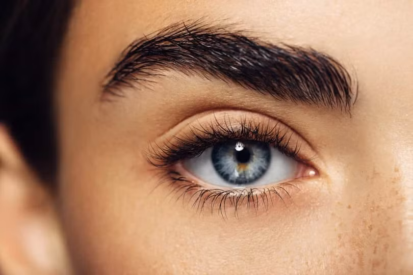 Những sự thật thú vị về cơ thể người
