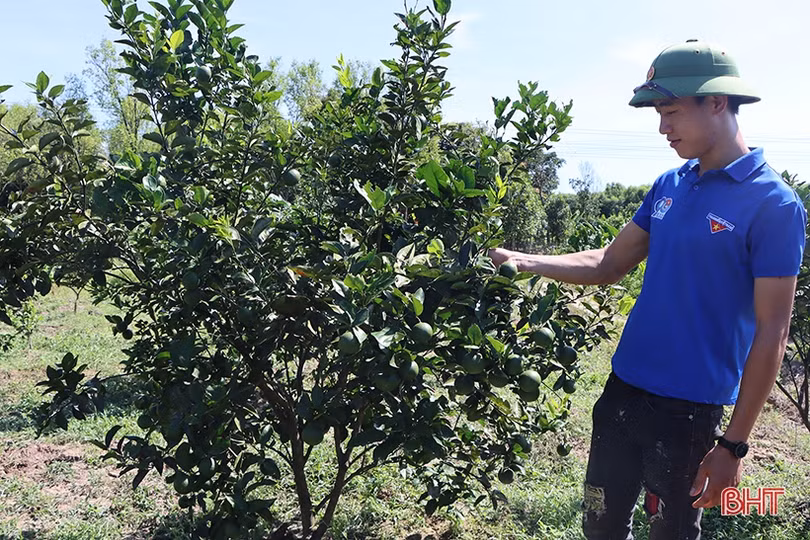 Huyện đoàn Cẩm Xuyên ra mắt mô hình kinh tế và giải ngân nguồn vốn quỹ quốc gia về việc làm