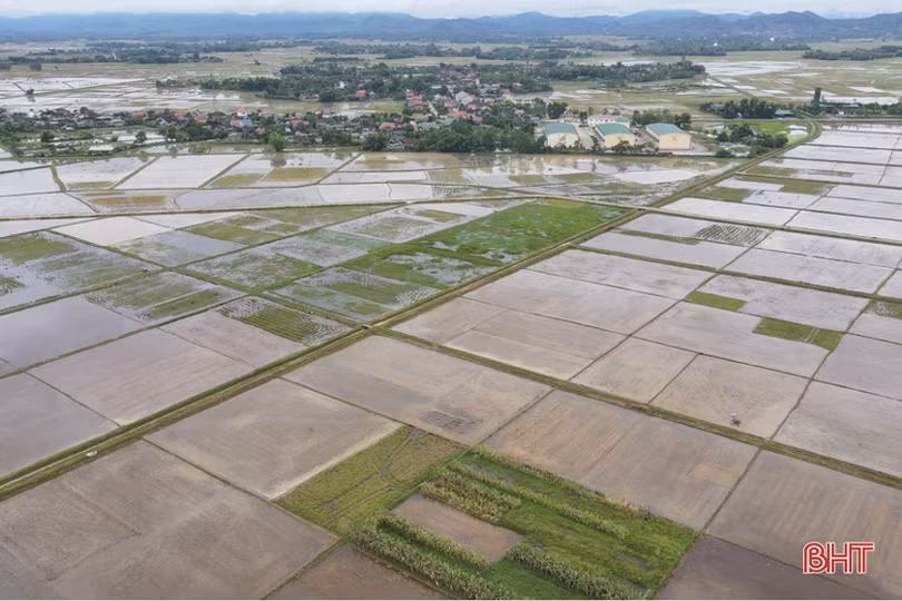 Nước về đầy đồng, nông dân Hà Tĩnh rộn ràng vào vụ sản xuất hè thu