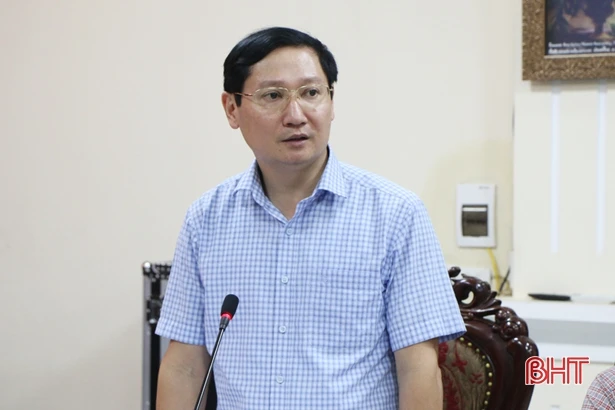 Thành phố Hà Tĩnh bàn phương án xây dựng hệ thống cây xanh đô thị