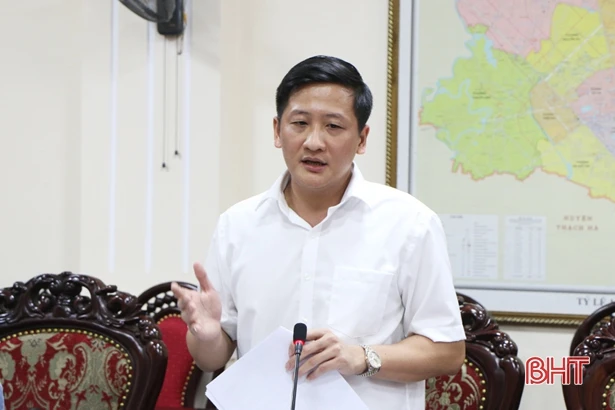 Thành phố Hà Tĩnh bàn phương án xây dựng hệ thống cây xanh đô thị