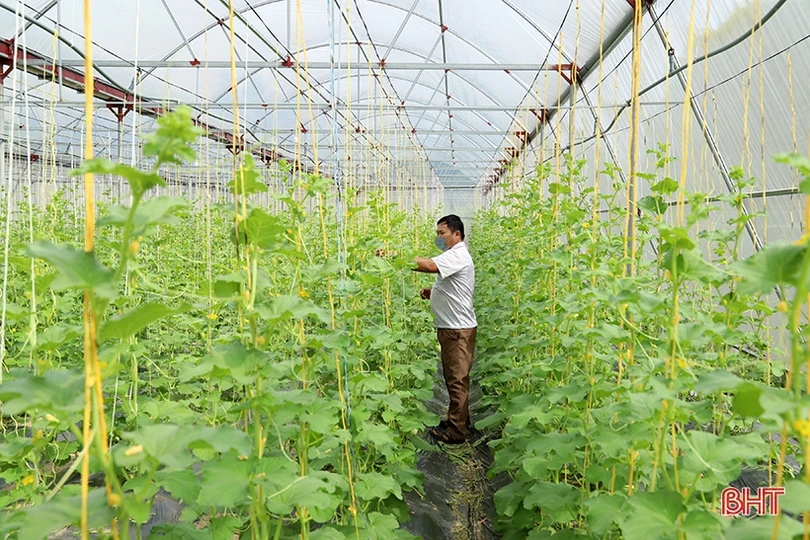 Thạch Hà vượt lên dịch bệnh, linh hoạt triển khai xây dựng nông thôn mới