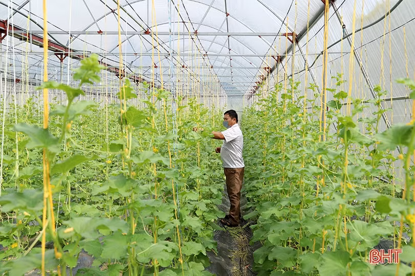 Thạch Hà vượt lên dịch bệnh, linh hoạt triển khai xây dựng nông thôn mới