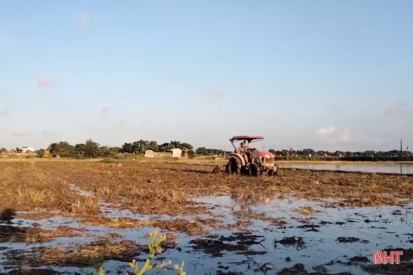 Nông dân Hà Tĩnh phấn khởi xuống giống vụ hè thu