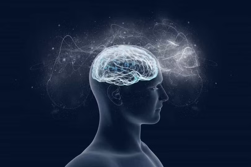 Những sự thật thú vị về cơ thể người