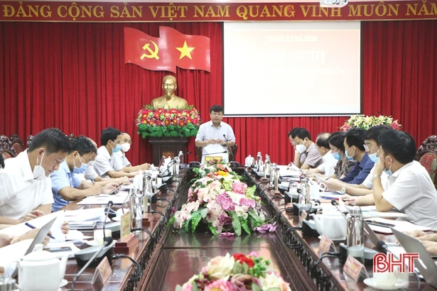 Thành phố Hà Tĩnh bàn phương án xây dựng hệ thống cây xanh đô thị