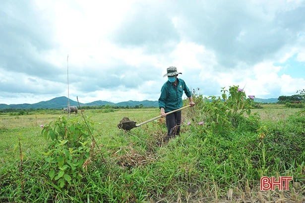 Huyện miền núi Hà Tĩnh đảm bảo nguồn nước vụ hè thu