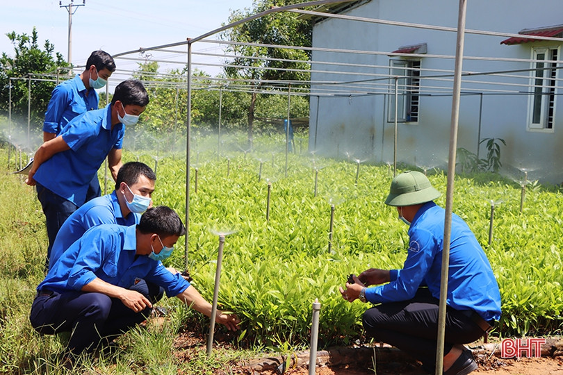 Huyện đoàn Cẩm Xuyên ra mắt mô hình kinh tế và giải ngân nguồn vốn quỹ quốc gia về việc làm